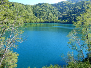 DSCN6323