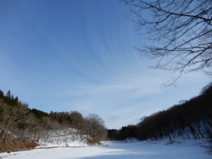 DSCN0286