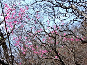 DSCN9454