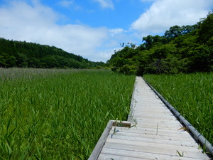DSCN0592