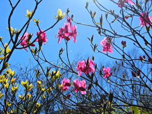 DSCN0359