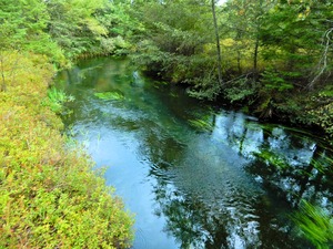 DSCN9875