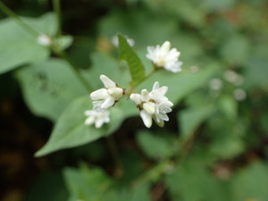P9281232