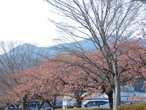 DSCN9455