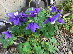 IMG_9072