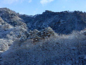DSCN9759