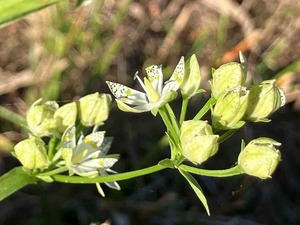 IMG_2885