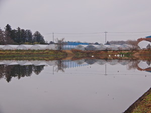 DSCN9430
