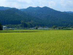 DSCN0124