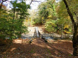 DSCN4419