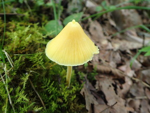 P9150909
