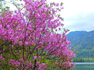 DSCN9842