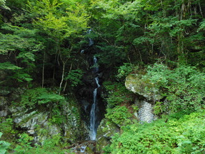 DSCN9447