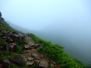 DSCN9496