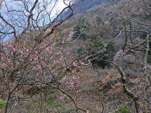 DSCN9786