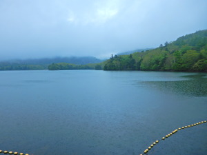DSCN9508