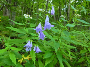 DSCN9479