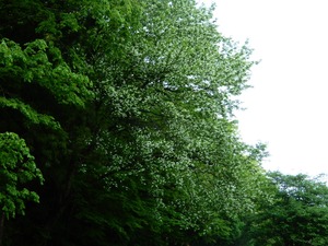 DSCN9827