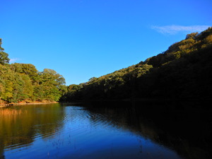 DSCN9945