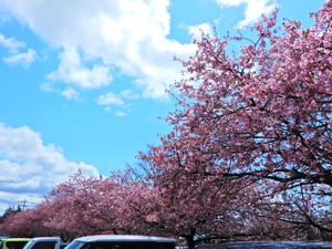 DSCN9667