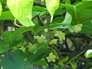 DSCN0229