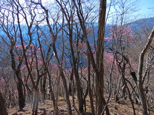DSCN9829