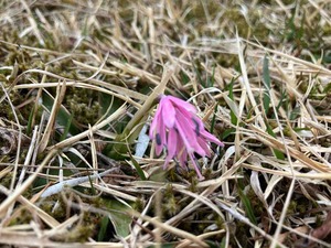 IMG_8982