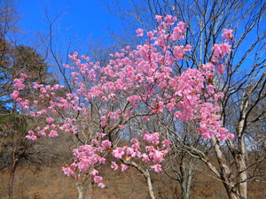 DSCN0024