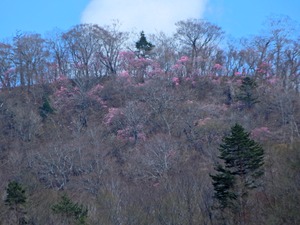 DSCN0288