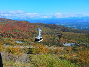DSCN9741