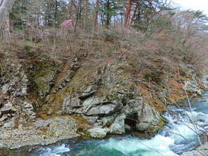 DSCN9676