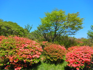 DSCN9718