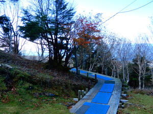 DSCN9883