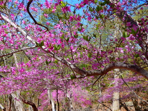 DSCN0145