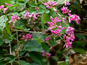DSCN0560