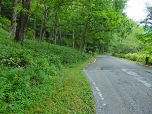 DSCN9492
