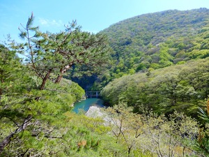 DSCN8204