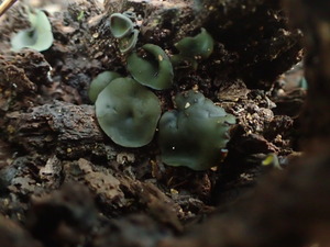 P9080739