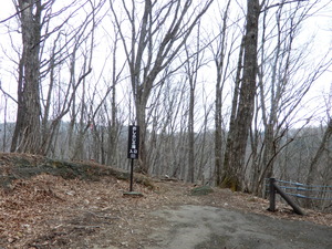 DSCN9533