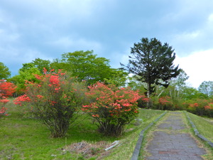 DSCN9957