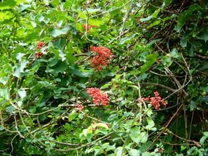 DSCN9989