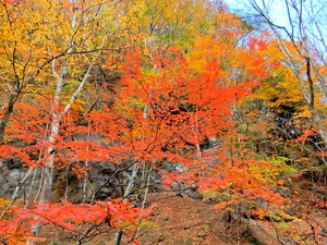 DSCN1442