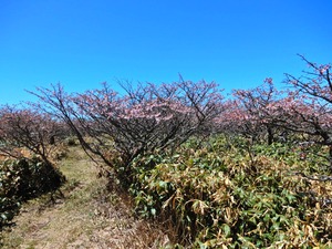 DSCN0176