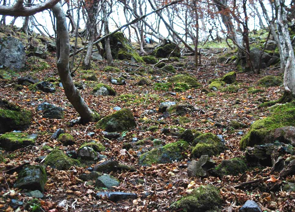 高原山黒曜石原産地遺跡群