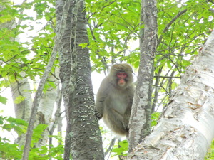 DSCN9981
