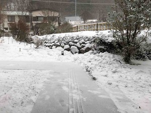 IMG_0032