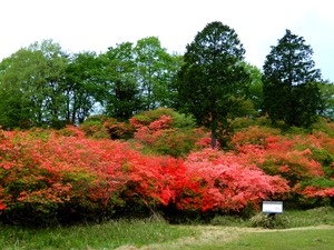 DSCN9344