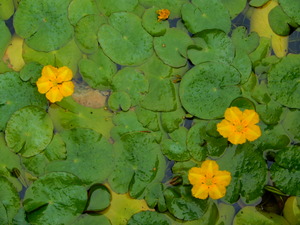 DSCN0063