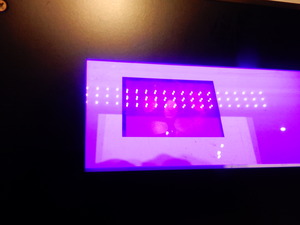 DSCN9783