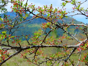 DSCN0663